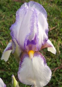 SanFrancisco2013 San Francisco