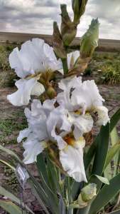 img_20161015_154003820_hdr